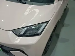2023 BYD Seagull Vitality, чёрный — фото 18
