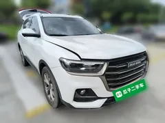 2021 Haval H6 1.5T AT Champion, белый — фото 23