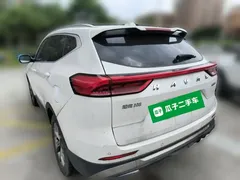 2021 Haval H6 1.5T AT Champion, белый — фото 24