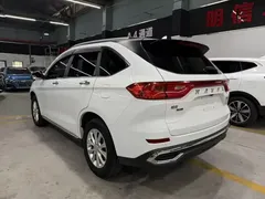 2021 Haval M6 Plus 1.5T DCT Luxury, белый — фото 9