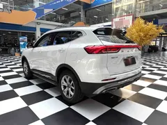 2021 Haval H6 1.5T AT Champion, белый — фото 17