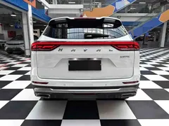 2021 Haval H6 1.5T AT Champion, белый — фото 18