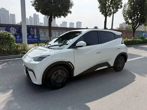 2024 BYD Seagull EV 305km Honor Freedom