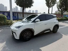 2024 BYD Seagull EV 305km Honor Freedom — фото 1