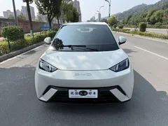 2024 BYD Seagull EV 305km Honor Freedom — фото 2