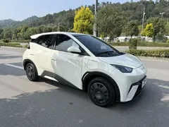 2024 BYD Seagull EV 305km Honor Freedom — фото 3