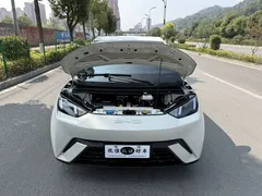 2024 BYD Seagull EV 305km Honor Freedom — фото 8