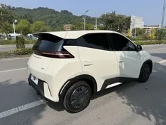 2024 BYD Seagull EV 305km Honor Freedom — фото 10