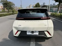 2024 BYD Seagull EV 305km Honor Freedom — фото 11