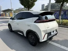 2024 BYD Seagull EV 305km Honor Freedom — фото 12