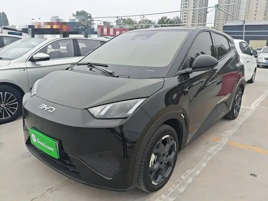 2025 BYD Seagull Smart Driving 305km Freedom