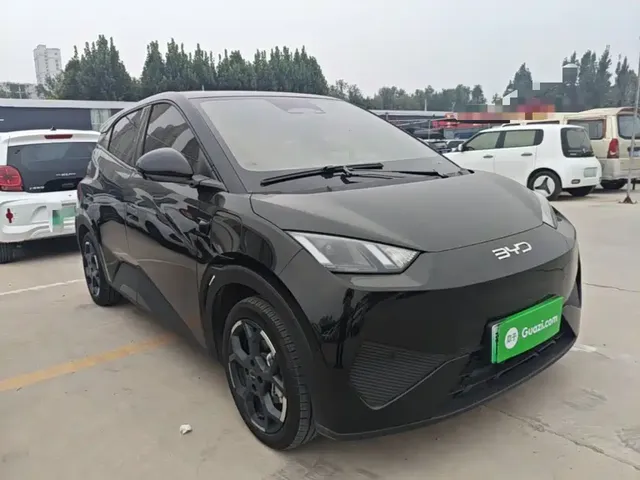 2025 BYD Seagull Smart Driving 305km Freedom