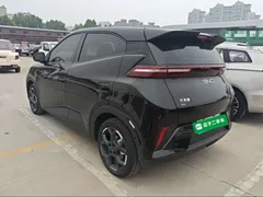 2025 BYD Seagull Smart Driving 305km Freedom, чёрный — фото 5