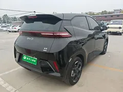 2025 BYD Seagull Smart Driving 305km Freedom, чёрный — фото 7