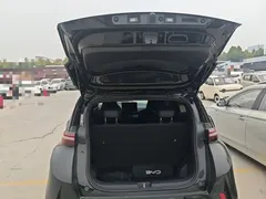 2025 BYD Seagull Smart Driving 305km Freedom, чёрный — фото 19