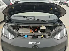 2025 BYD Seagull Smart Driving 305km Freedom, чёрный — фото 20
