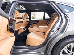 2021 Lexus LS 500h Luxury — фото 10