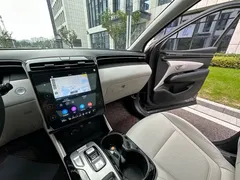 2021 Hyundai Tucson L 1.5T DCT LUX Premium — фото 19
