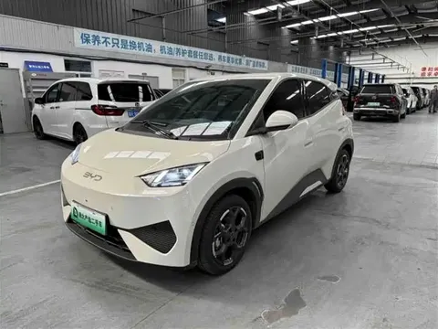 2025 BYD Seagull Smart Driving 305km Freedom