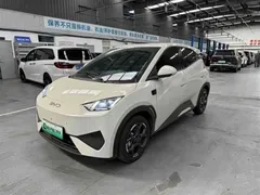 2025 BYD Seagull Smart Driving 305km Freedom — фото 1
