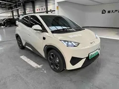 2025 BYD Seagull Smart Driving 305km Freedom — фото 3