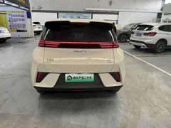 2025 BYD Seagull Smart Driving 305km Freedom — фото 5