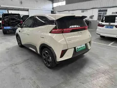 2025 BYD Seagull Smart Driving 305km Freedom — фото 6