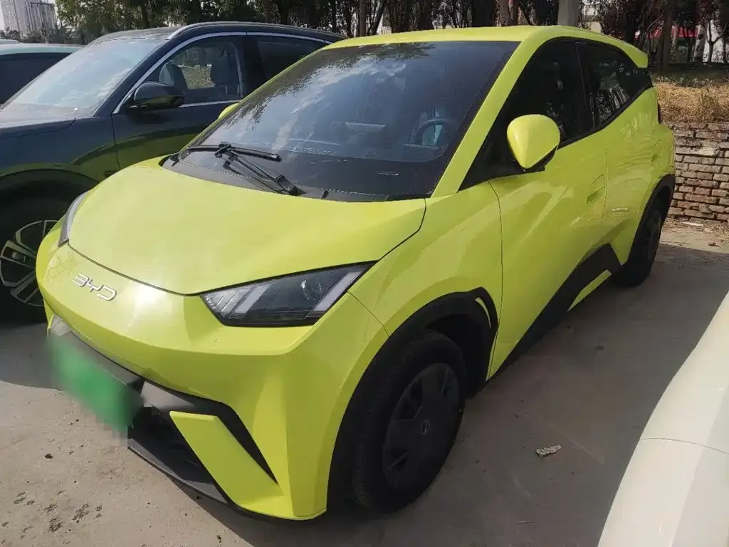 2023 BYD Seagull Vitality