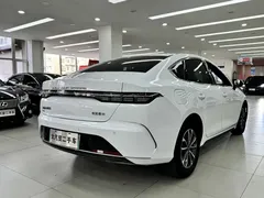 2024 BYD Destroyer 05 DM-i PHEV 55km Luxury, белый — фото 4