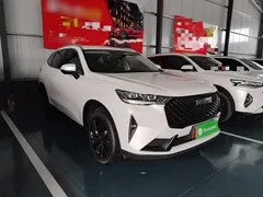 2021 Haval H6 3rd Gen 2.0T AT 2WD Max, белый — фото 4