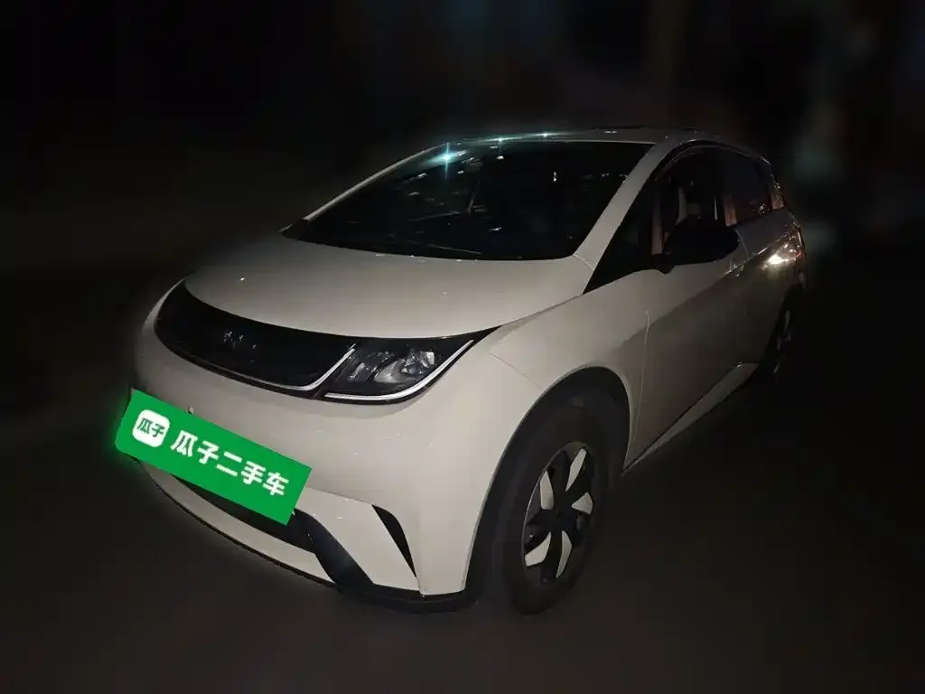 2025 BYD Dolphin 420km Freedom
