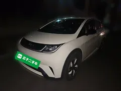 2025 BYD Dolphin 420km Freedom — фото 1