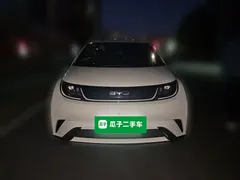 2025 BYD Dolphin 420km Freedom — фото 2