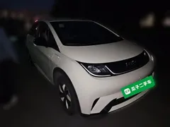 2025 BYD Dolphin 420km Freedom — фото 3