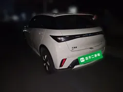 2025 BYD Dolphin 420km Freedom — фото 4
