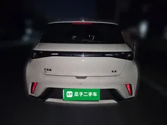 2025 BYD Dolphin 420km Freedom — фото 5