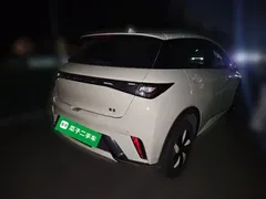 2025 BYD Dolphin 420km Freedom — фото 6