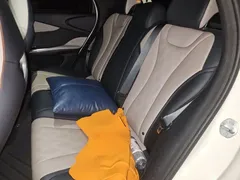 2025 BYD Dolphin 420km Freedom — фото 18