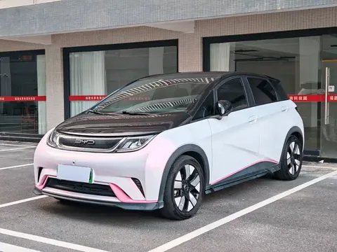 2023 BYD Dolphin 401km Knight