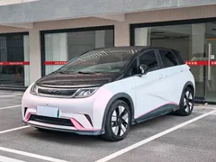 2023 BYD Dolphin 401km Knight — фото 1