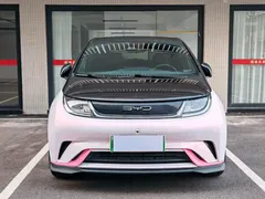 2023 BYD Dolphin 401km Knight — фото 2