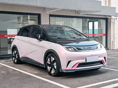 2023 BYD Dolphin 401km Knight — фото 3