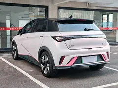 2023 BYD Dolphin 401km Knight — фото 5