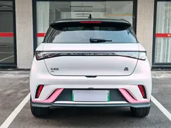 2023 BYD Dolphin 401km Knight — фото 6