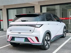 2023 BYD Dolphin 401km Knight — фото 7