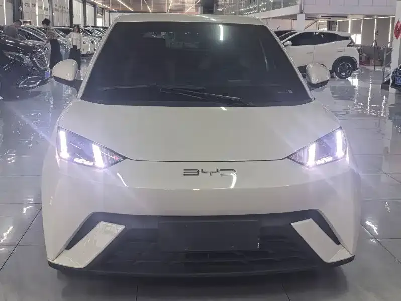 2023 BYD Seagull Flying