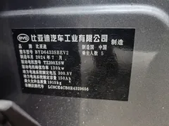 2024 BYD Yuan UP EV 401km Exceed — фото 12