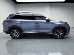 2025 BYD Sea Lion 07 DM-i PHEV 150 Pilot — фото 4