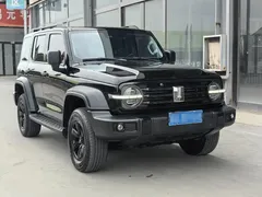 2021 Tank 300 Off-road 2.0T Challenger, чёрный — фото 3