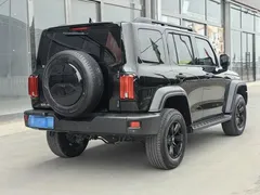 2021 Tank 300 Off-road 2.0T Challenger, чёрный — фото 4